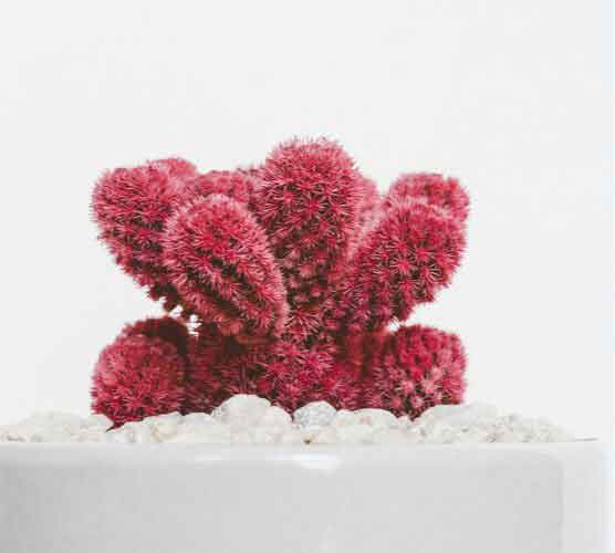 手机号压测网站