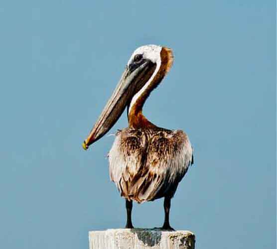 性能卓越稳定的短信压测工具